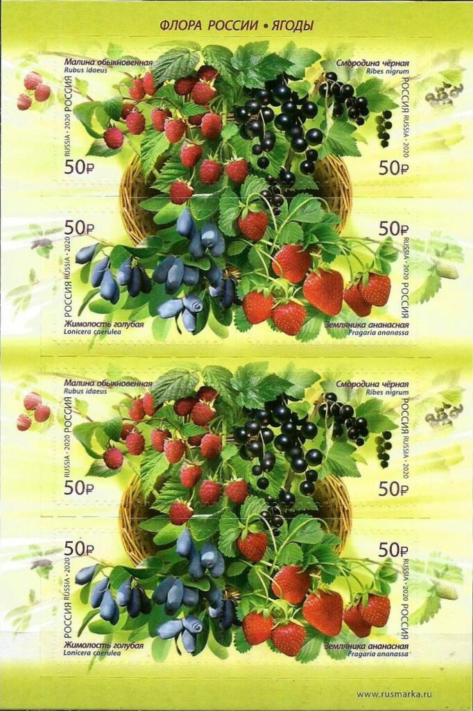Berries