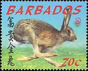 Hare