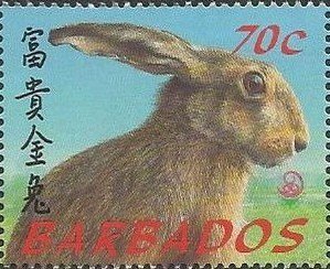 Hare