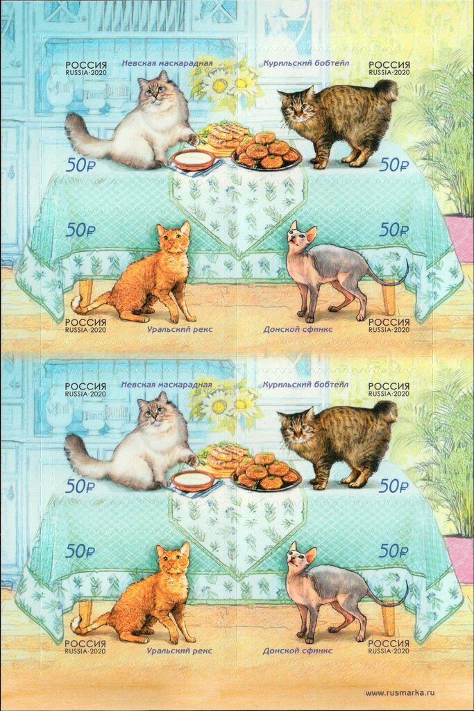 Cats