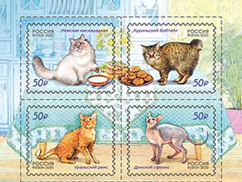 Cats