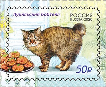 Cats(Kurilian Bobtail)