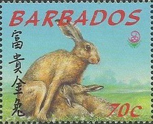 Hare