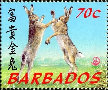 Hare