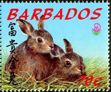 Hare