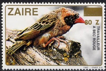 Red-billed Quelea (Quelea quelea)