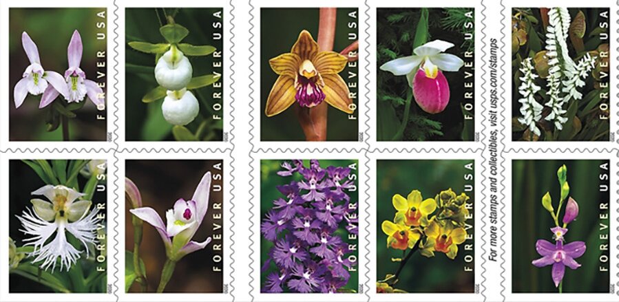 Wild Orchids (Se-tenant Block from Booklet)