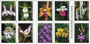 Se-tenant, Wild Orchids (Se-tenant Block from Booklet), United States of America,  , Flowers, Orchids, Plants (Flora)