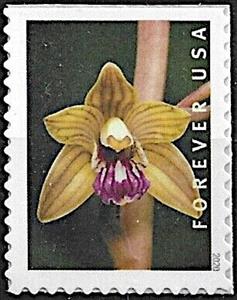 Stamp, Crested Coral Root (Hexalectris spicata), United States of America,  , Flowers, Orchids, Plants (Flora)