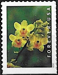 Stamp, Yellow Cow Horn Orchid (Cyrtopodium polyphyllum), United States of America,  , Flowers, Orchids, Plants (Flora)