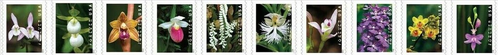 Se-tenant, Wild Orchids (strip of 10 from coil), United States of America,  , Flowers, Orchids, Plants (Flora)