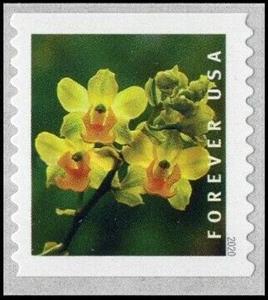 Stamp, Yellow Cow Horn Orchid (Cyrtopodium polyphyllum), United States of America,  , Flowers, Orchids, Plants (Flora)