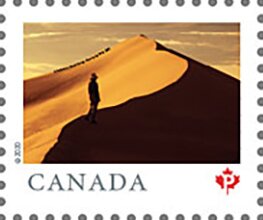 Stamp, Athabasca Sand Dunes Provincial Park, Saskatchewan, Canada,  , Landscapes