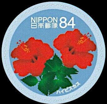 Hibiscus