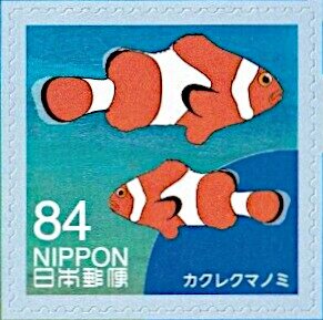 Clownfish