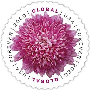Stamp, Chrysanthemum, United States of America,  , Flowers, Plants (Flora), Round Stamps