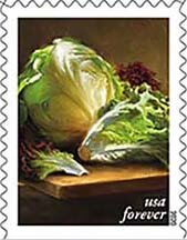 Lettuce