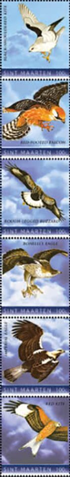 Birds of Prey