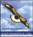 Rough-legged buzzard (Buteo lagopus)