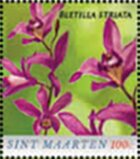 Chinese ground orchid (Bletilla striata)