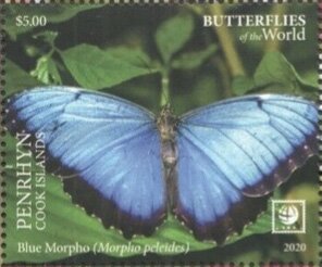 Stamp, Blue Morpho (Morpho peleides), Penrhyn,  , Butterflies