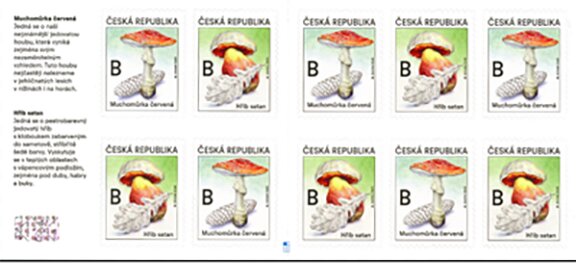 Poisonous Mushrooms