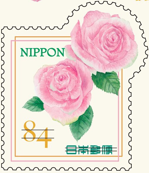 Pink Rose