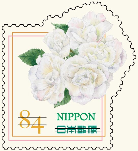White Rose