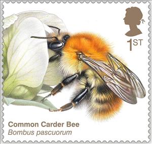 Stamp, Common Carder Bee (Bombus pascuorum), United Kingdom of Great Britain & Northern Ireland,  , Animals (Fauna), Bees, Insects