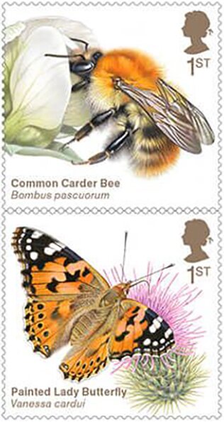 Carder Bee/Butterfly