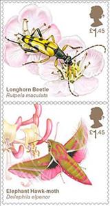 Se-tenant, Beetle/Moth, United Kingdom of Great Britain & Northern Ireland,  , Animals (Fauna), Beetles, Butterflies, Insects
