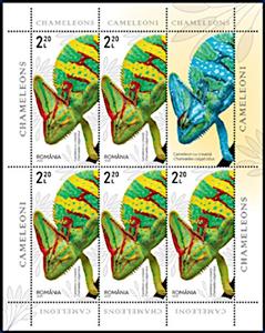 Mini Sheet, Veiled Chameleon (Chamaeleo calyptratus), Romania,  , Animals (Fauna), Chameleons, Reptiles