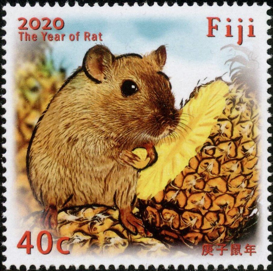 Year of the Rat 2020