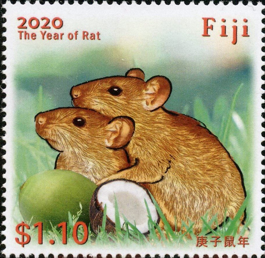 Year of the Rat 2020