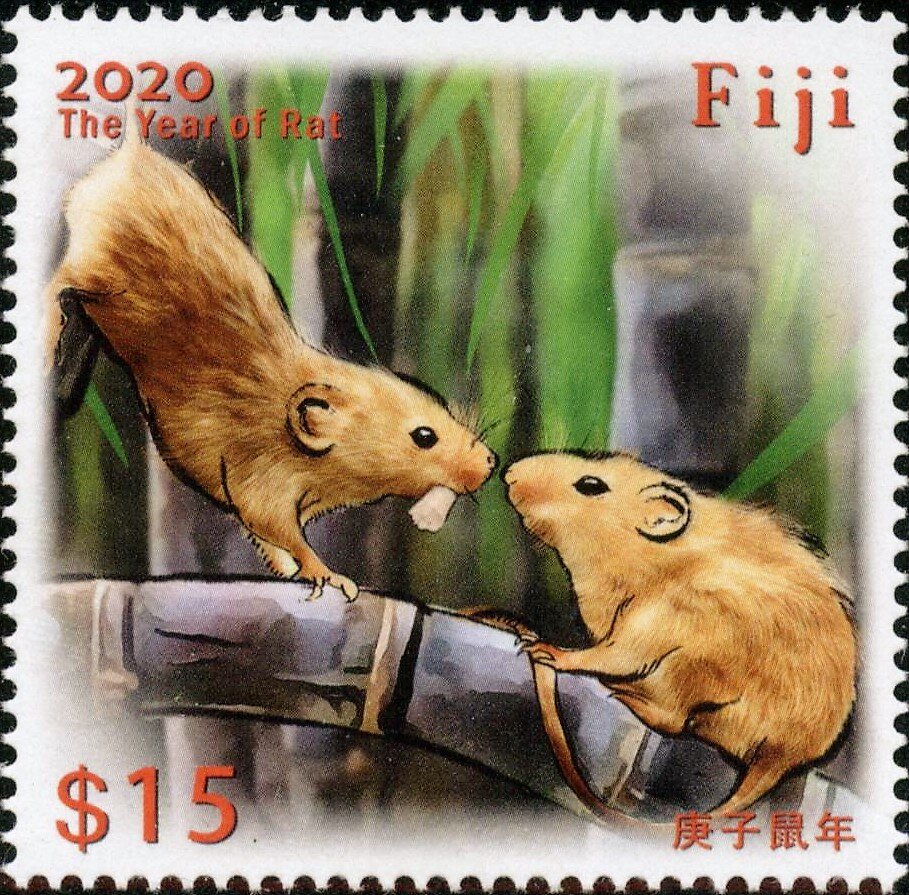 Year of the Rat 2020