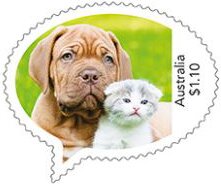 Dog and Cat