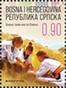 Children Picking Iva Grass