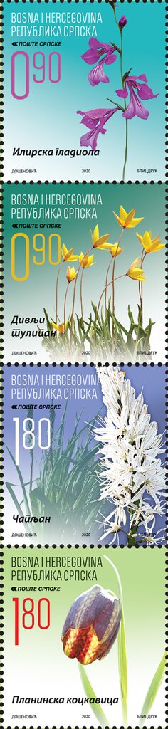 Flora