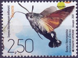 Stamp, Hummingbird Hawk-Moth (Macroglossum stellatarum), Bosnia and Herzegovina, Serbian Administration,  , Animals (Fauna), Insects