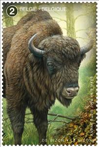 Stamp, European Bison (Bison bonasus), Belgium,  , Animals (Fauna), Bison