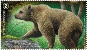 Stamp, Eurasian Brown Bear (Ursus arctos arctos), Belgium,  , Animals (Fauna), Bears