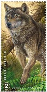 Stamp, Wolf (Canis lupus, Belgium,  , Animals (Fauna), Wolves