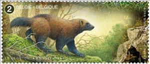 Stamp, Wolverine (Gulo gulo), Belgium,  , Animals (Fauna), Bears, Bison, Lynx, Wolves