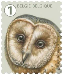 Stamp, Barn Owl (Tyto alba), Belgium,  , Animals (Fauna), Birds, Birds of Prey, Owls