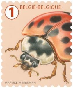 Stamp, Asian Ladybug (Harmonia axyridis), Belgium,  , Animals (Fauna), Beetles, Insects