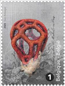 Stamp, Basket Stinkhorn (Clathrus ruber), Belgium,  , Mushrooms