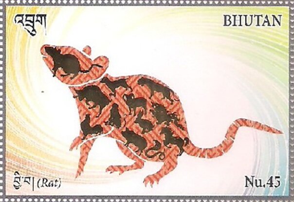 Year of the Rat 2020