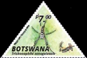 Stamp, Banded-Legged Golden Orb-Web Spider (Nephila senegalensis), Botswana,  , Spiders