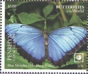 Stamp, Blue Morpho (Morpho peleides), Penrhyn,  , Butterflies