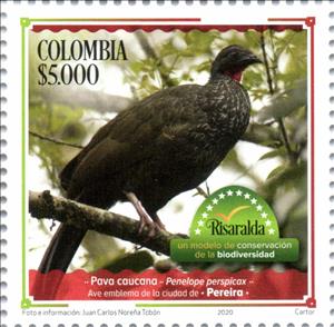 Stamp, Cauca Guan (Penelope perspicax), Colombia,  , Animals (Fauna), Birds